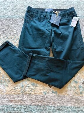 Democracy Men’s Chinos in Dark Teal